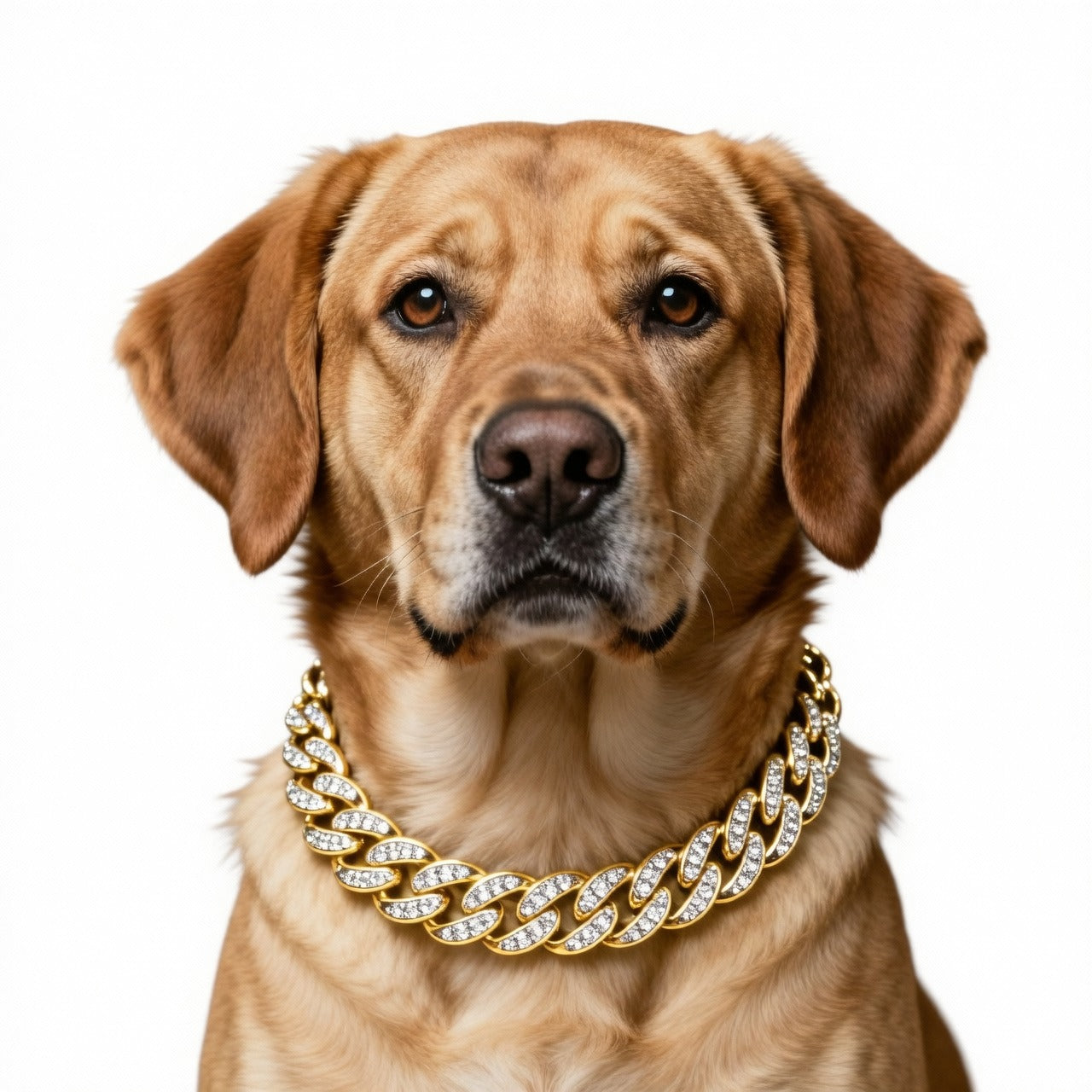 Rhinestone Cuban Link Dog Collar