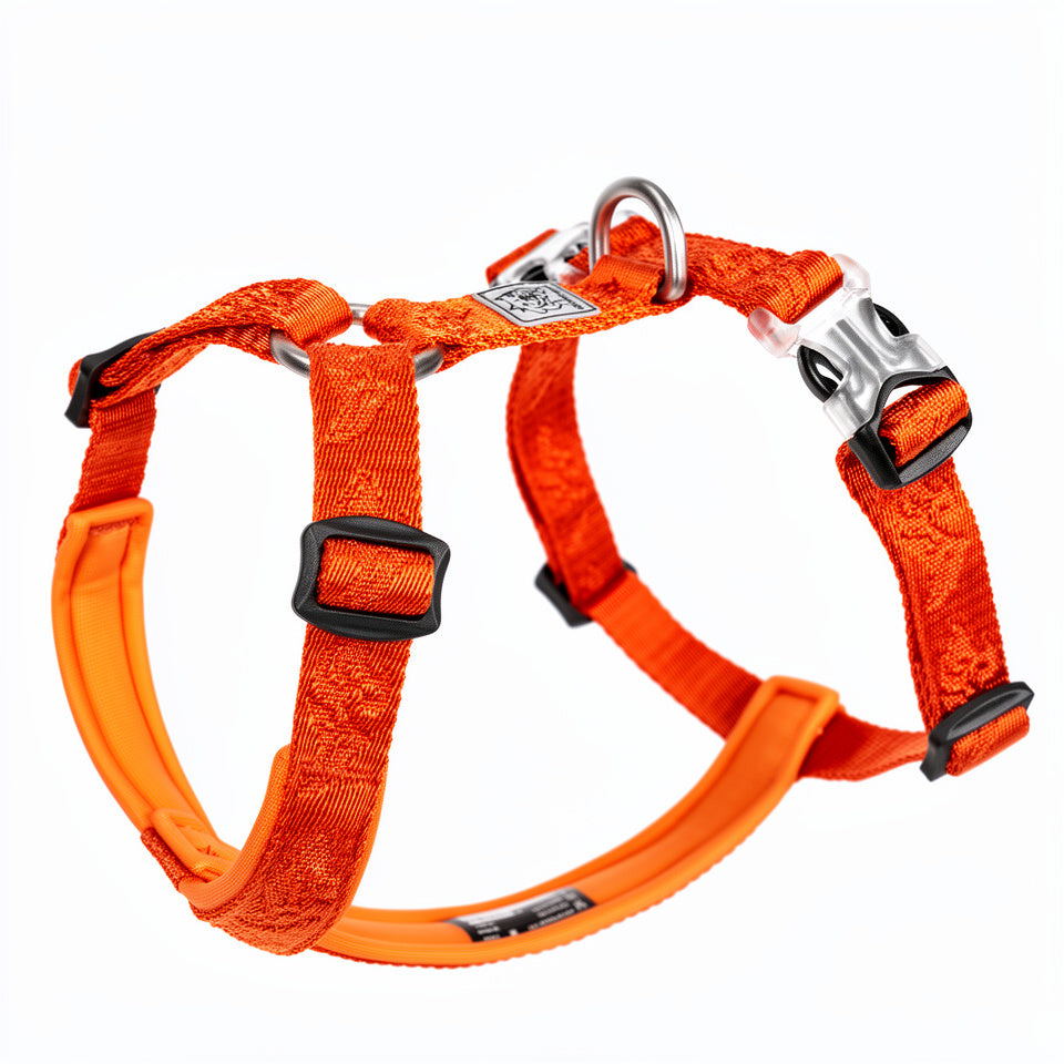Escape Proof Harness for Active Dogs & Cats