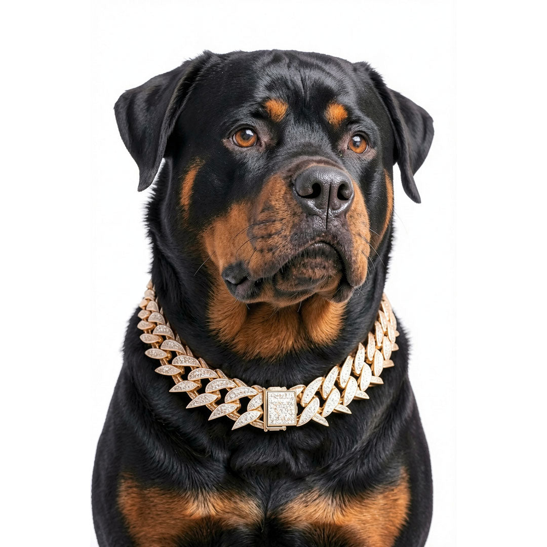 Rhinestone Spiked Cuban Link Dog Collar