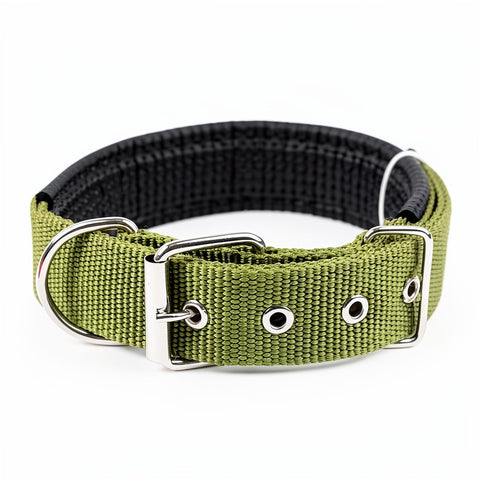 Solid Nylon Dog Collar