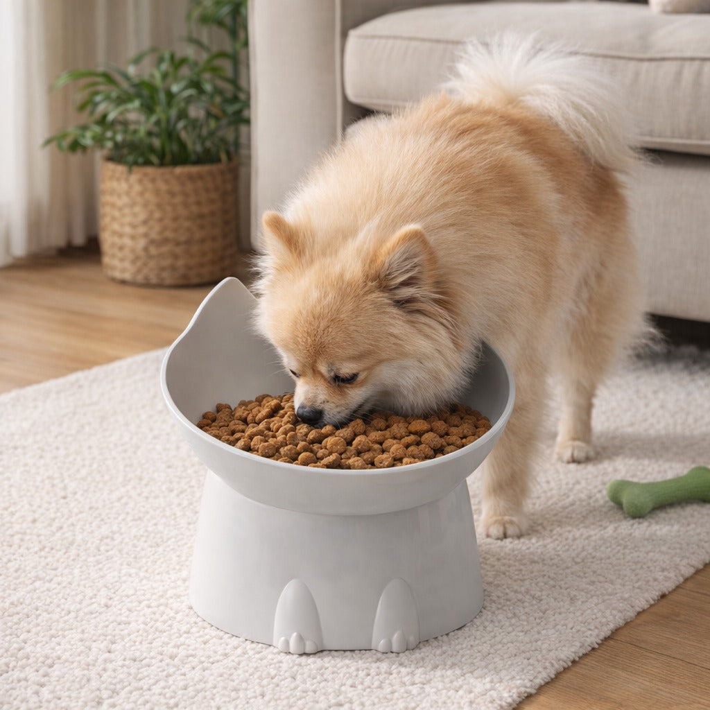 Anti Slip Raised Pet Feeding Bowl
