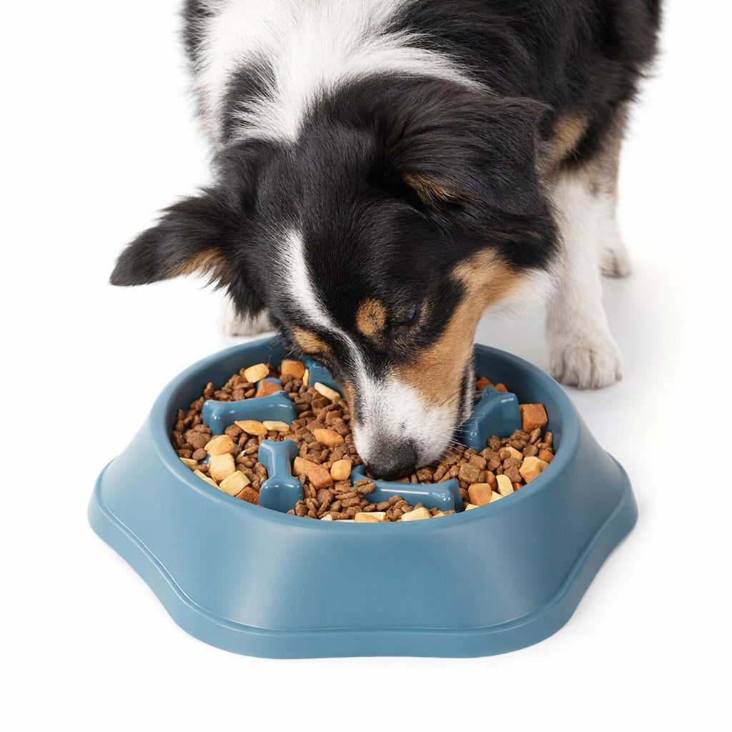 Interactive Anti Slip Dish Feeder For Pets