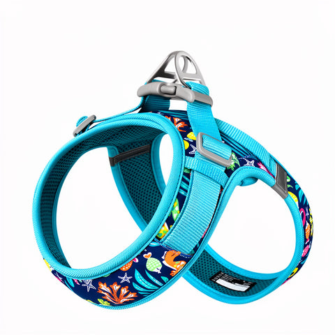 Floral Print Mesh Harness For Dogs & Cats