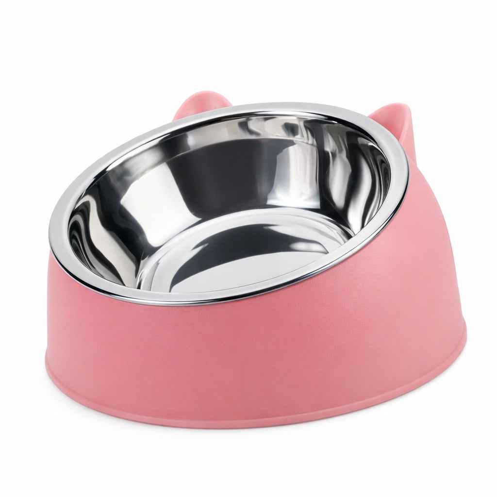 Creative Inclined Stainless Steel Bowl For Pets