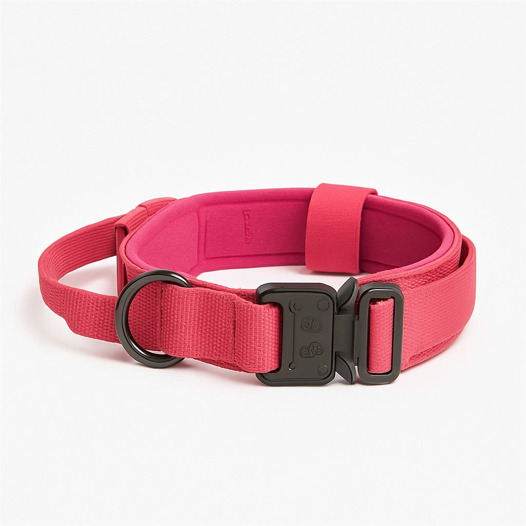 Durable Nylon Material Tactical Training Dog Collar