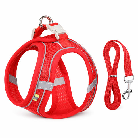 Breathable Mesh Dog Harness For All Seasons