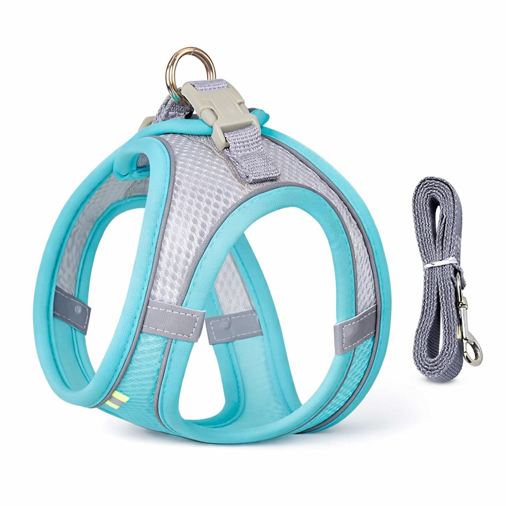 Breathable Mesh Dog Harness For All Seasons