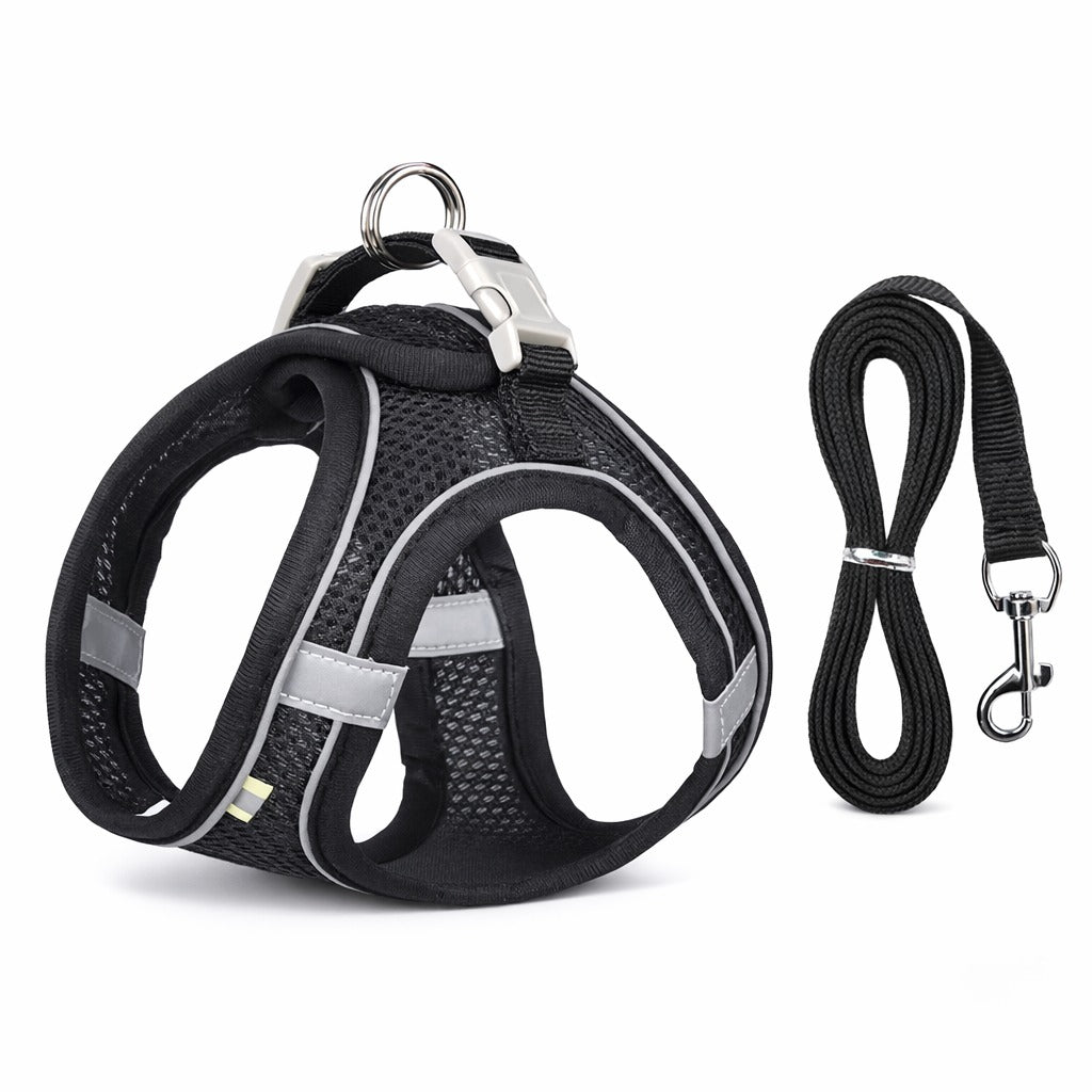 Breathable Mesh Dog Harness For All Seasons