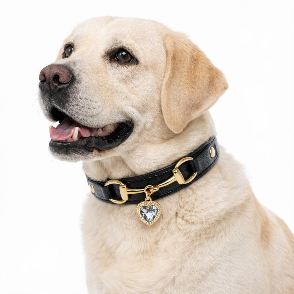 Shiny Rhinestone Comfortable Leather Pet Collar