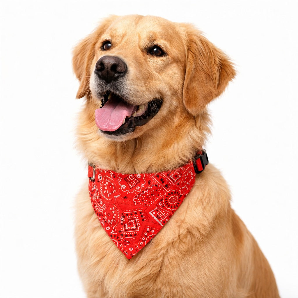 Bandana Triangular Washable Pet Collar