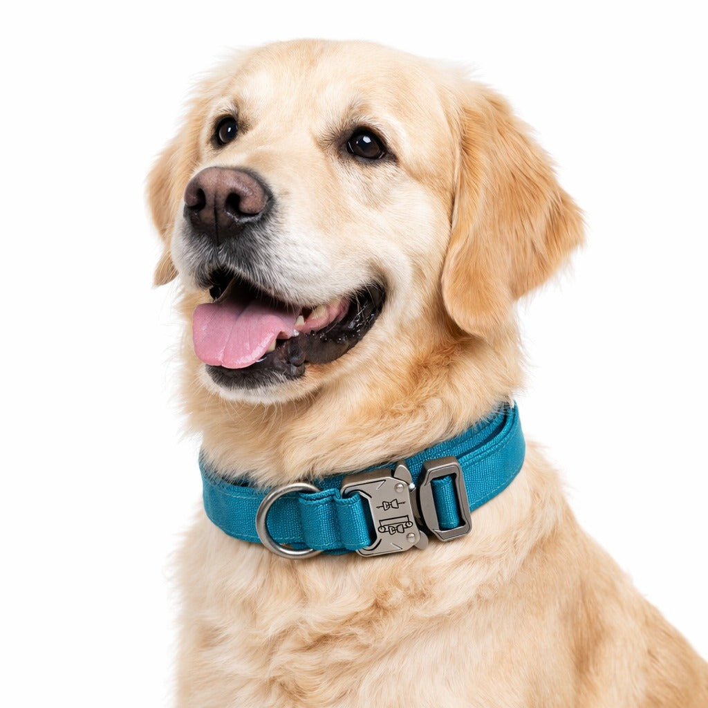 Durable Nylon Material Tactical Training Dog Collar