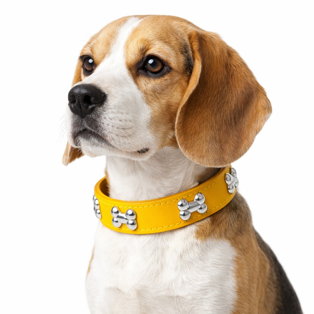 Leather Bone Style Durable Pet Collar