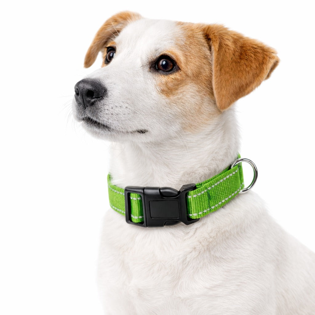Reflective Strap Adjustable Nylon Dog Collar