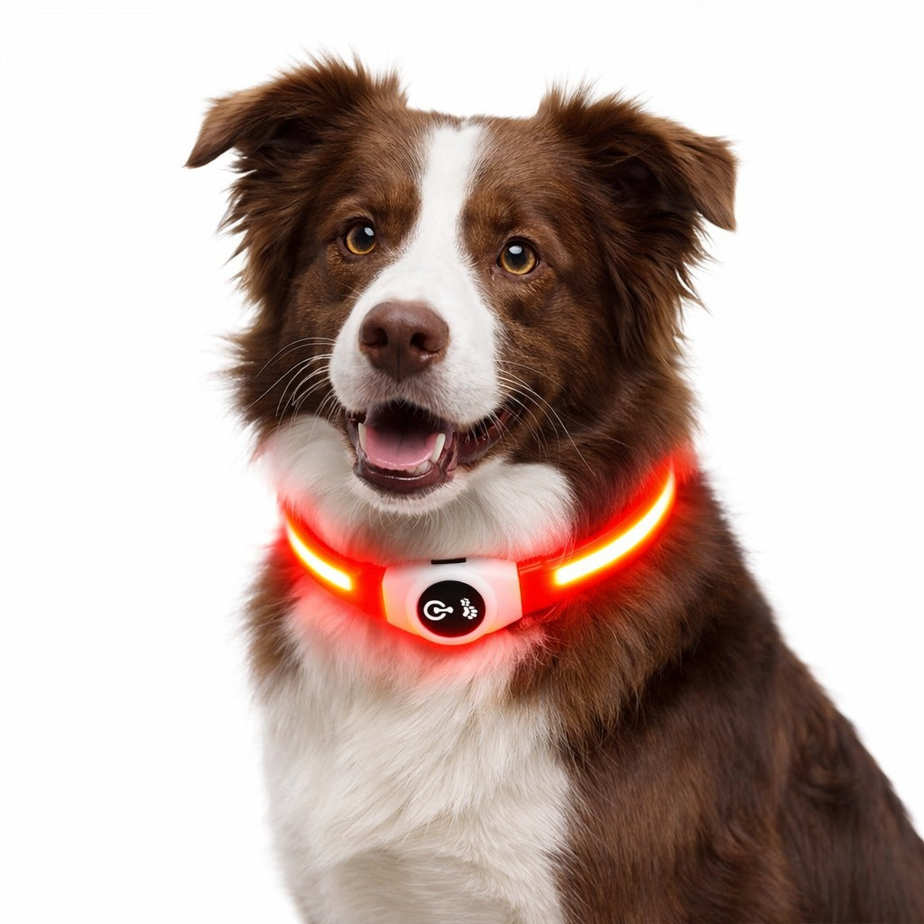 New Led Luminous PVC Waterproof Dog Collar
